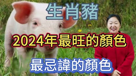 屬豬適合什麼顏色|【屬豬 顏色】速查2024屬豬運勢指南：幸運色、財位、禁忌